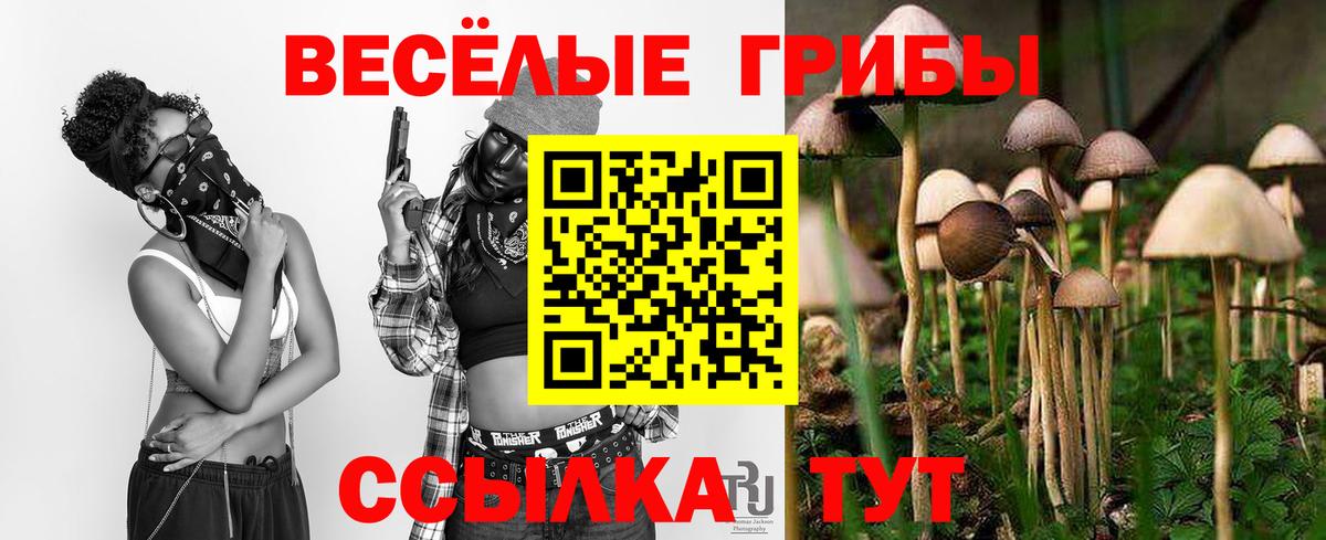 Псилоцибиновые грибы мицелий Чусовой